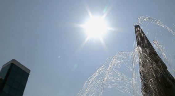 마포구 재난재해 예비비 줄여 대통령 흉상 세우나