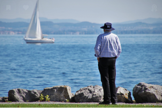[65세 이상 고령 운전자] 교통안전교육 신청/ 예약 (최신)