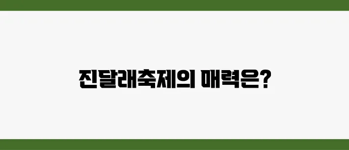 여수 여행의 하이라이트, 진달래축제에서 만나는 특별한 순간들!