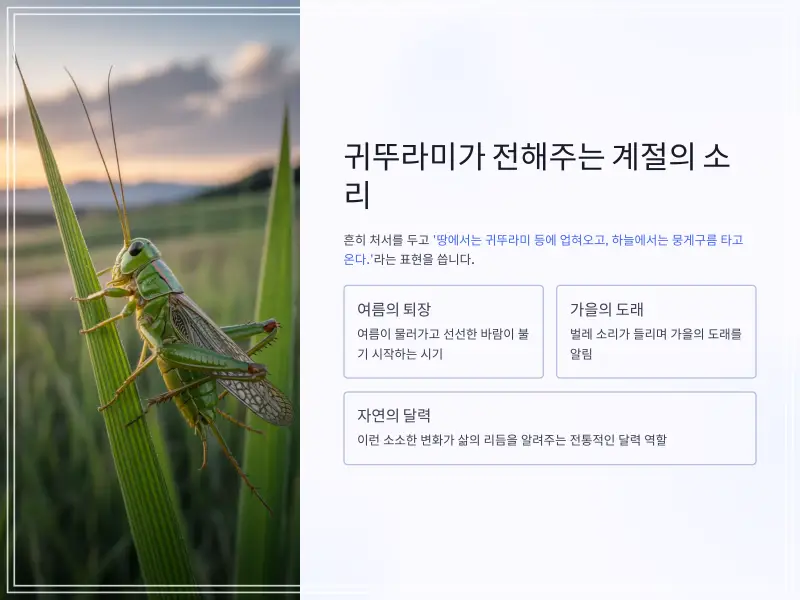 24절기-처서-3_