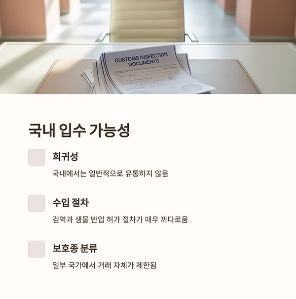 국내에서 키울 수 있을까?