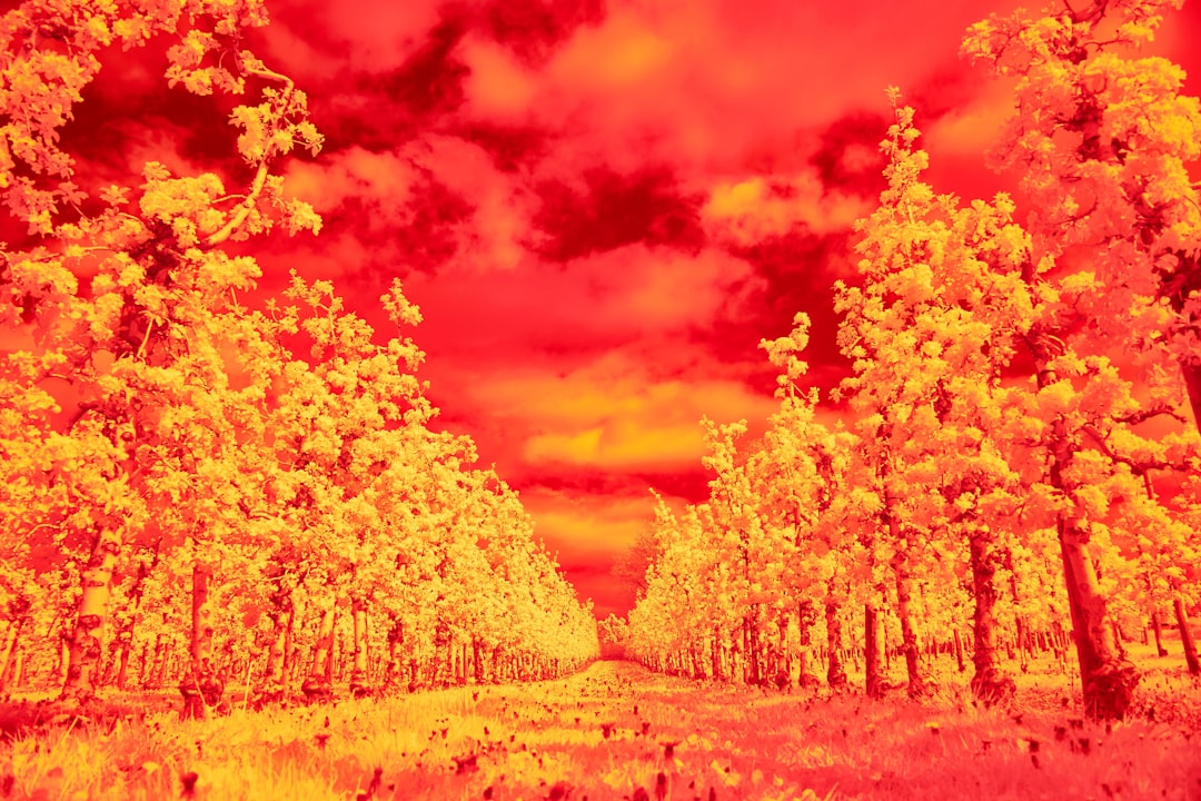Climate card