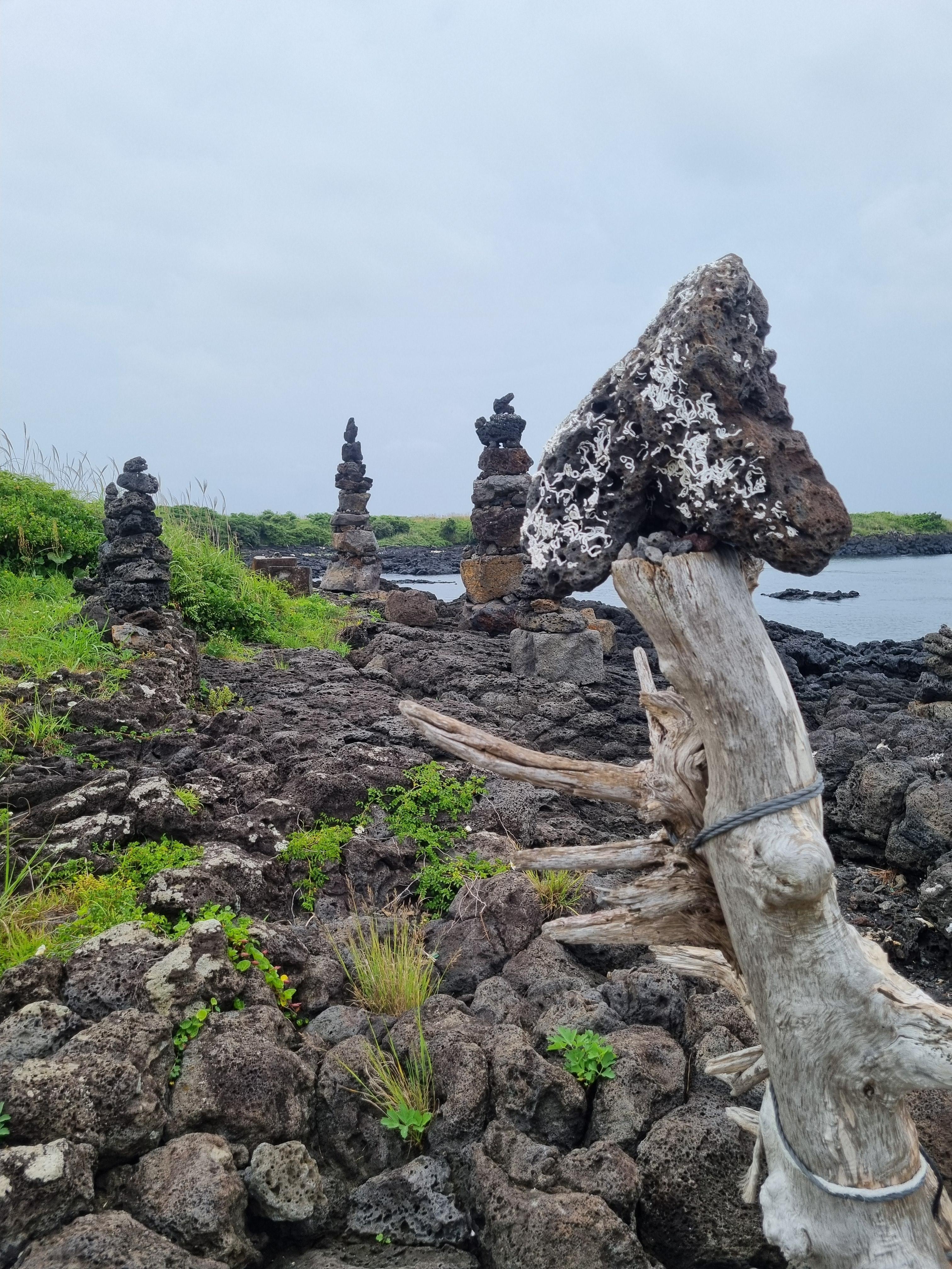 Jeju Olle Trail 18
