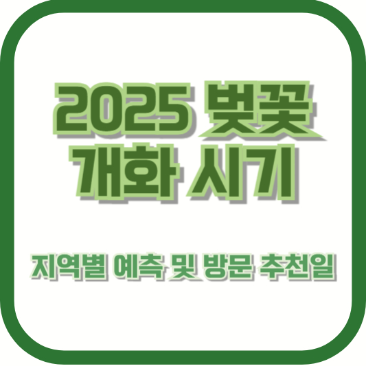 2025 벚꽃 개화 시기 – 지역별 예측 및 방문 추천일
