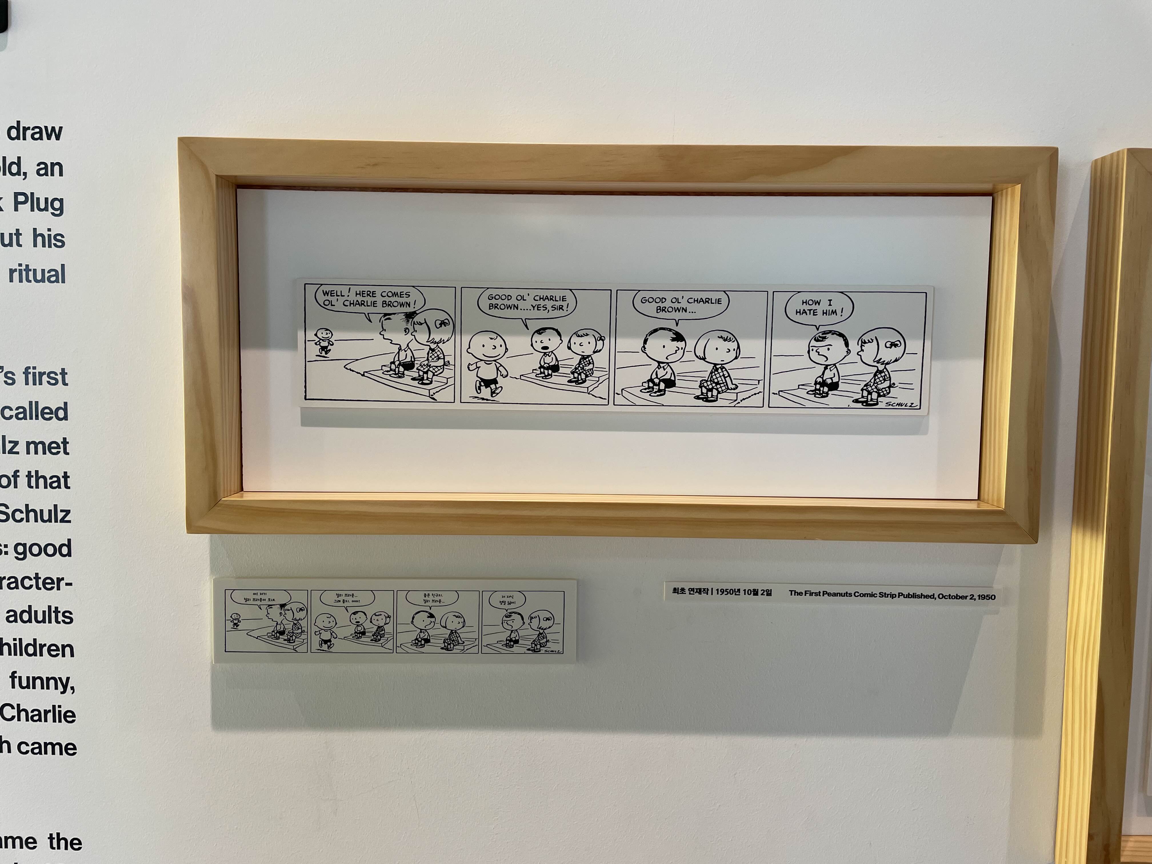 스누피 만화 사진