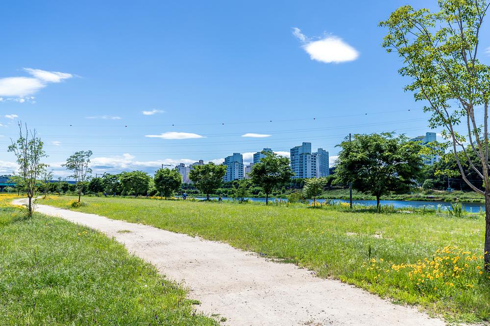 대구시 북구 금호강 오토캠핑장 소개