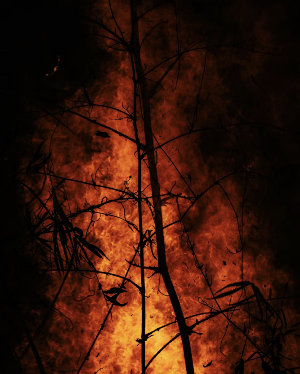 세계의 대형 산불 사례: 역사적 산불과 그 교훈