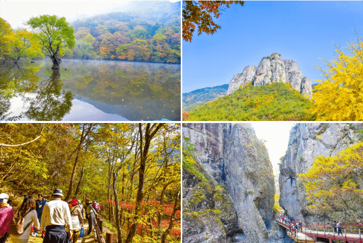 2024 단풍절정시기 지도 명소 설악산 축제 가을 지역별 시기 정보 화담숲 단풍