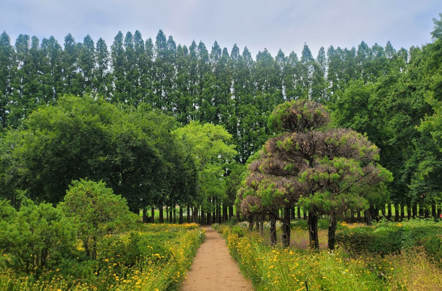 특색있고 아름다운 민간 정원 30선 추천 여행 - 28. 익산 아가페 정원