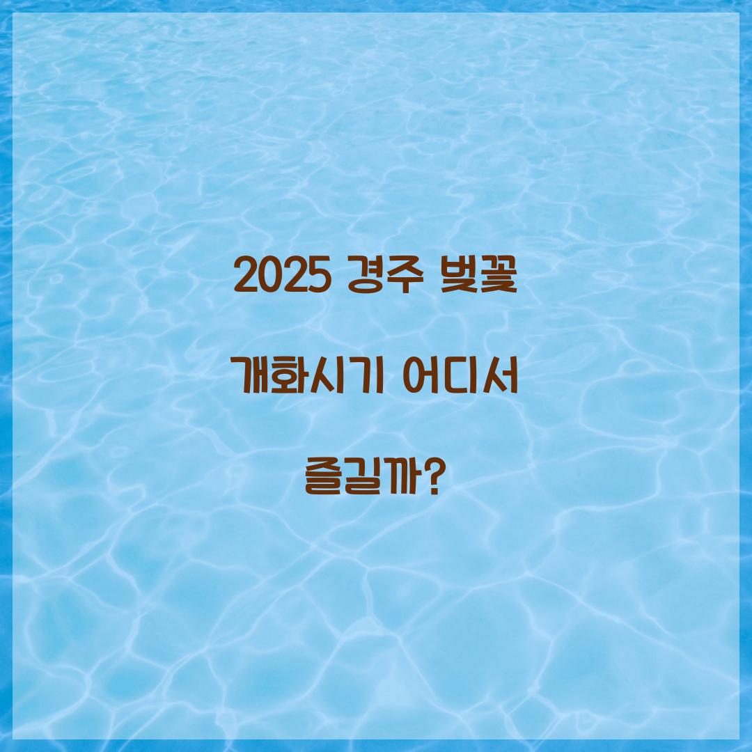 경주 벚꽃 개화시기