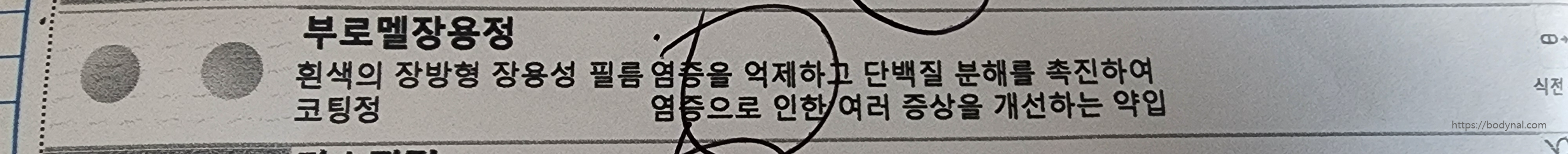 약봉투에 프린트된 부로멜장용정 설명. 설명에는 흰색의 장방형 장용성 필름코팅정이라고 되어 있는데, 옆에 사진은 원형이었다. 실제 약은 장방형이 맞다.