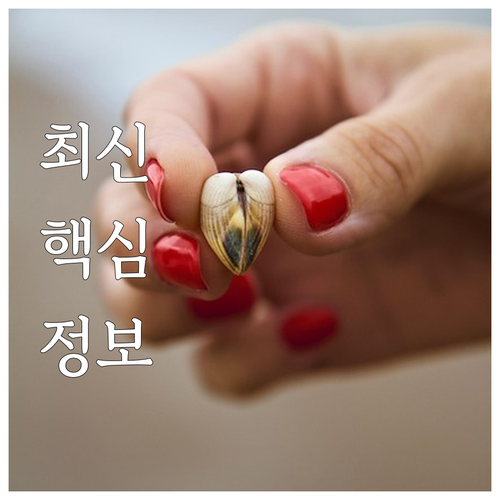 2025년 승강기 안전 책임지는 법정..