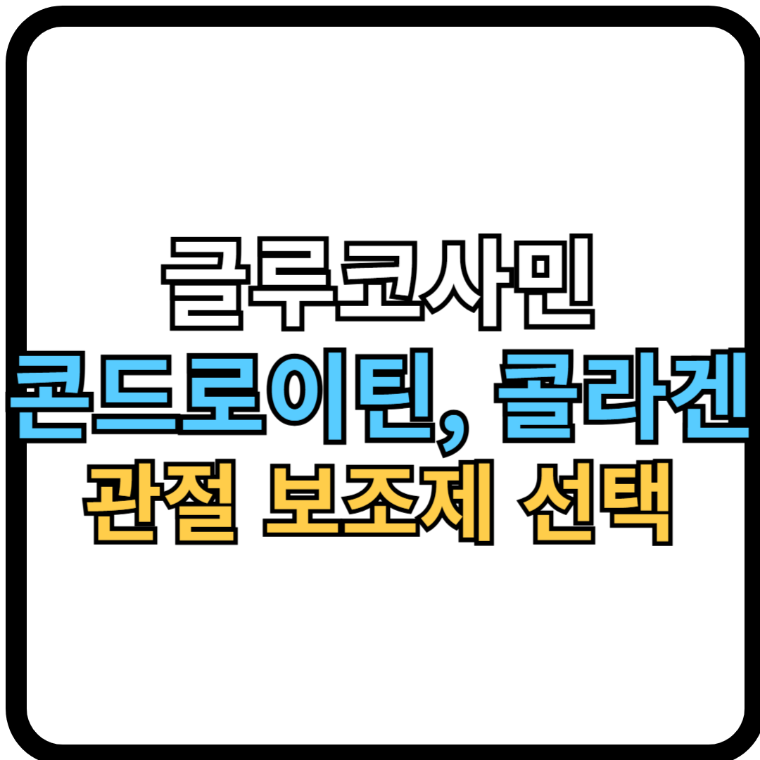 글루코사민, 콘드로이틴, 콜라겐 중 무엇이 좋을까? 관절 보조제 선택 완전 가이드