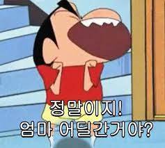 짱구 짤 모음 (대사 찰떡 카톡짤)6