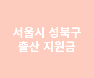 서울시 출산 지원금