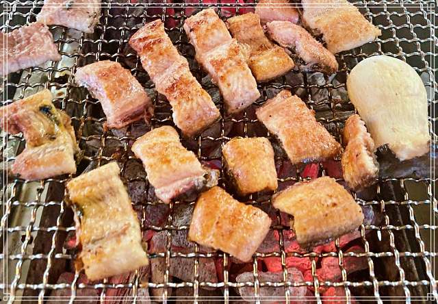 생생정보 마당 경기 평택 전국 택배 주문 1인 상차림 4천원 숯불 장어구이 맛집