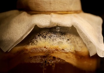 지방간에 좋은 음식8