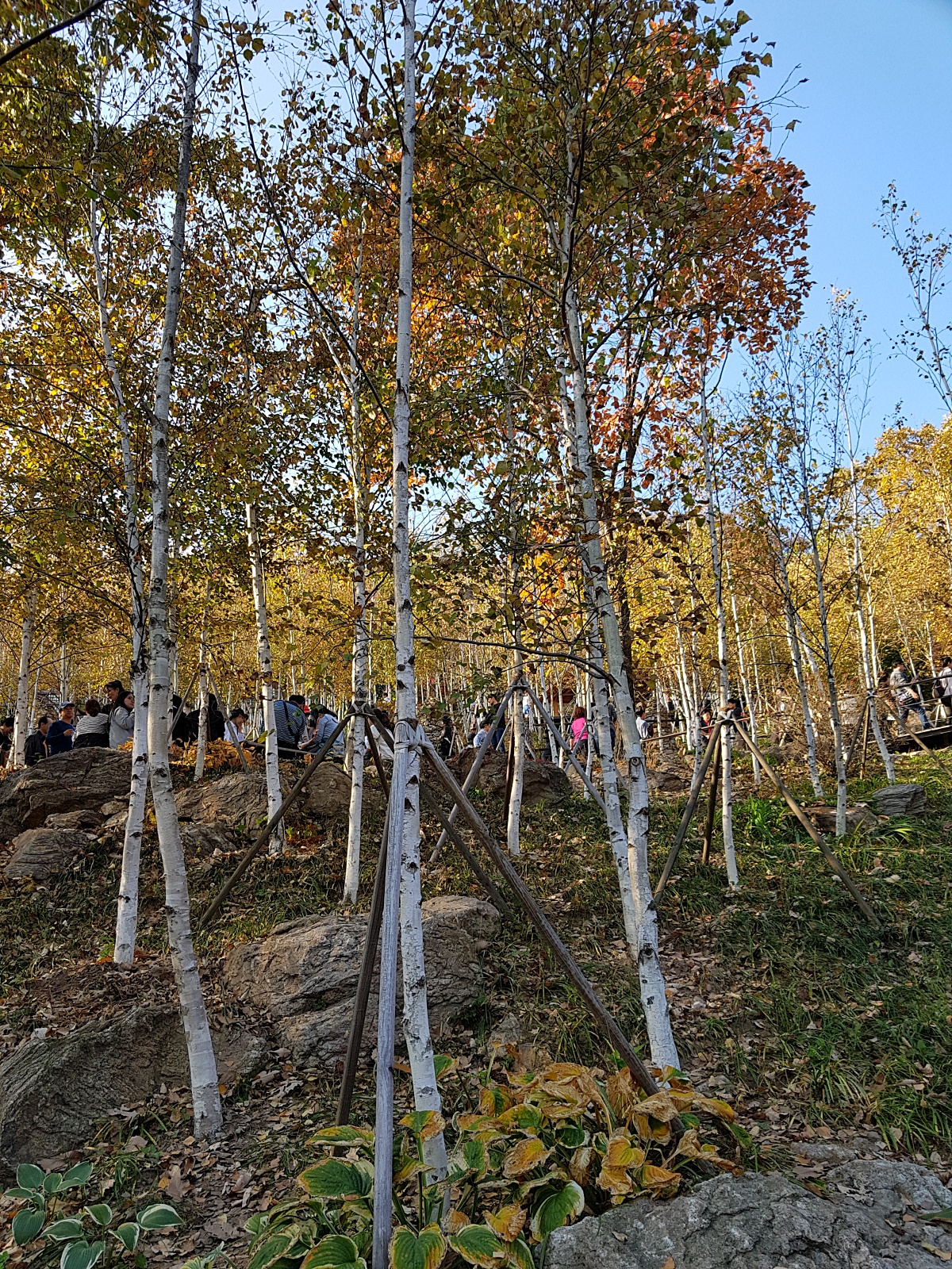 경기도 광주 곤지암 화담숲 단풍시즌&amp;#44; 가을 풍경 퍼레이드와 주변 맛집