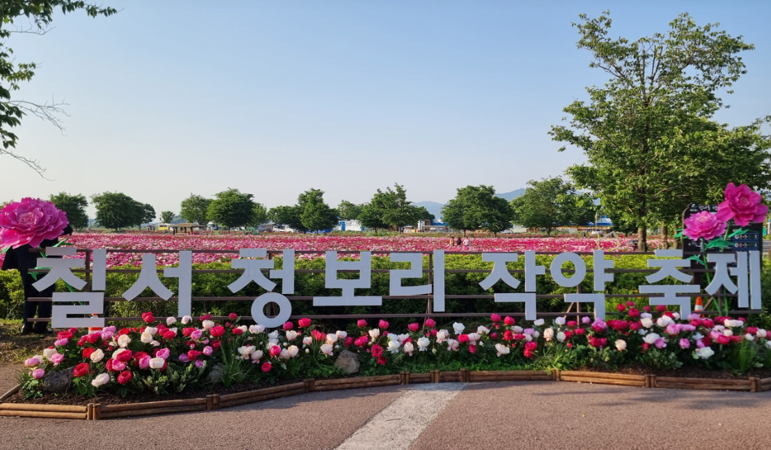 칠서생태공원 청보리&middot;작약1