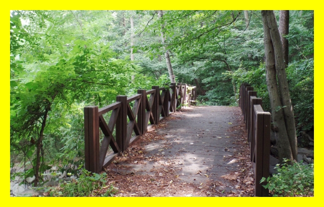 성수기 휴양림 꿀팁&amp;#44; 국립휴양림 예약기간&amp;#44; 국립휴양림 미결제주의&amp;#44; 국립휴양림 신청자격&amp;#44; 국립휴양림 선호순위&amp;#44; 여름철 인기휴양림&amp;#44; 여름 자연휴양림 접수&amp;#44; 국립휴양림 결제법&amp;#44; 여름휴가 자연&amp;#44; 국립휴양림 캠핑예약