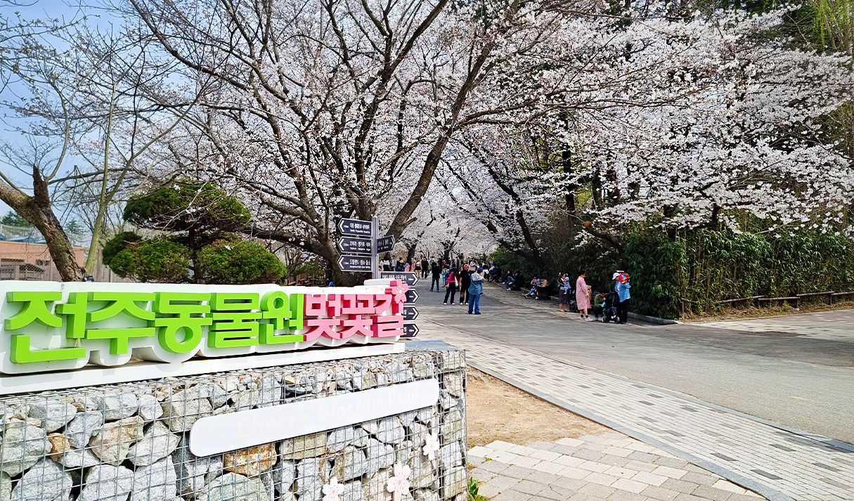 전주여행 가볼만한 곳 베스트10_ 08. 전주 동물원 & 수목원 (벚꽃, 단풍, 입장료, 주차, 놀이동산)