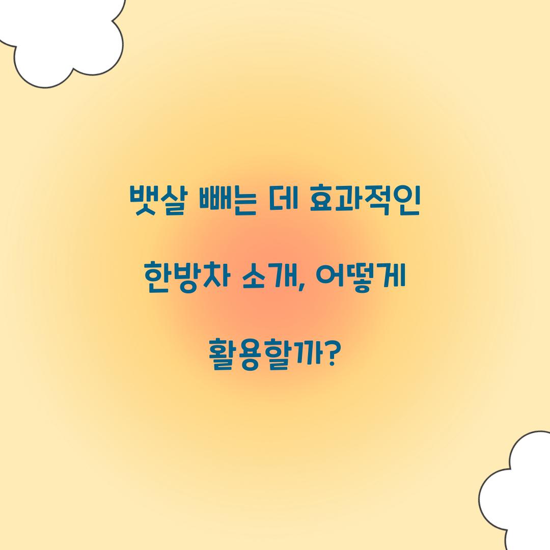 뱃살 빼는 데 효과적인 한방차 소개