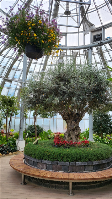 강릉 솔향수목원 실내정원 풍경