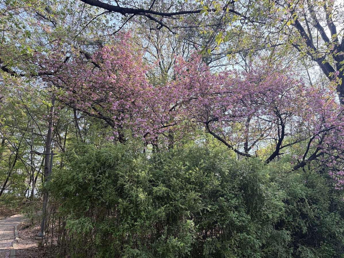 추억의 어린이대공원