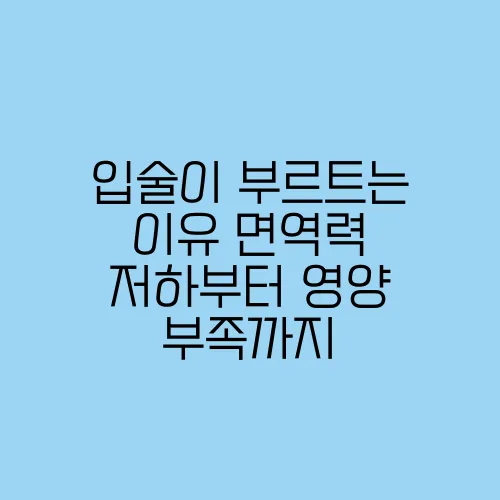 입술이 부르트는 이유 면역력 저하부터 영양 부족까지