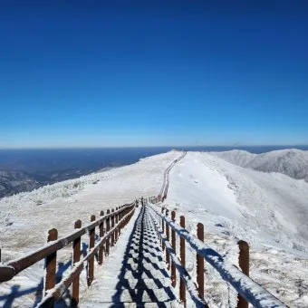 소백산 등산코스 죽령 연화봉 비로봉 어의곡 종주 완벽 가이드_12