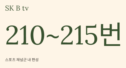 바둑TV 편성표 IPTV 채널번호부터 실시간 중계까지 모든 것을 한눈에 확인하는 완벽가이드