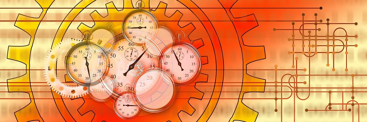 바쁜 사람을 위한 식물 관리법