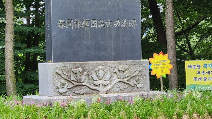 편백나무 성지&#44; 장성 치유의숲 정상 춘원 임종국 조림공덕비