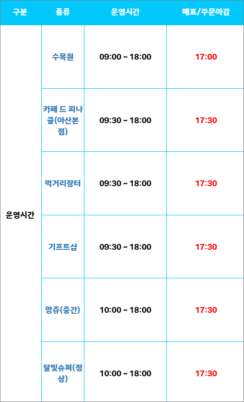 피나클랜드운영시간