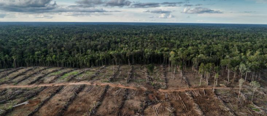 맹지, 도로 없는 땅을 사도 될까?