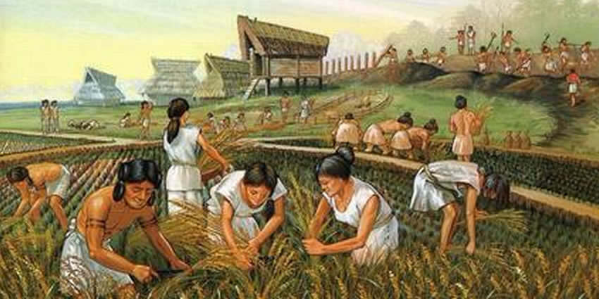 올멕 문명의 농경