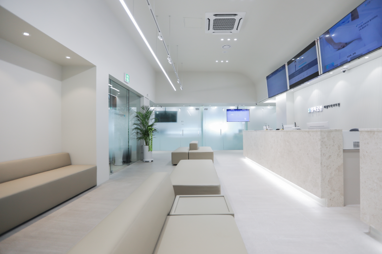 강남구 도곡2동 정형외과 유명하고 잘하는 곳 추천 TOP 5