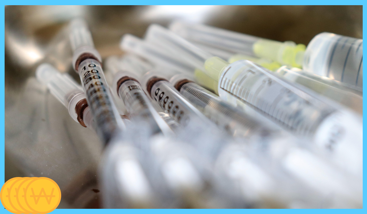 독감 예방접종 시기