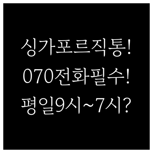 싱가포르항공 070-4784-9541..
