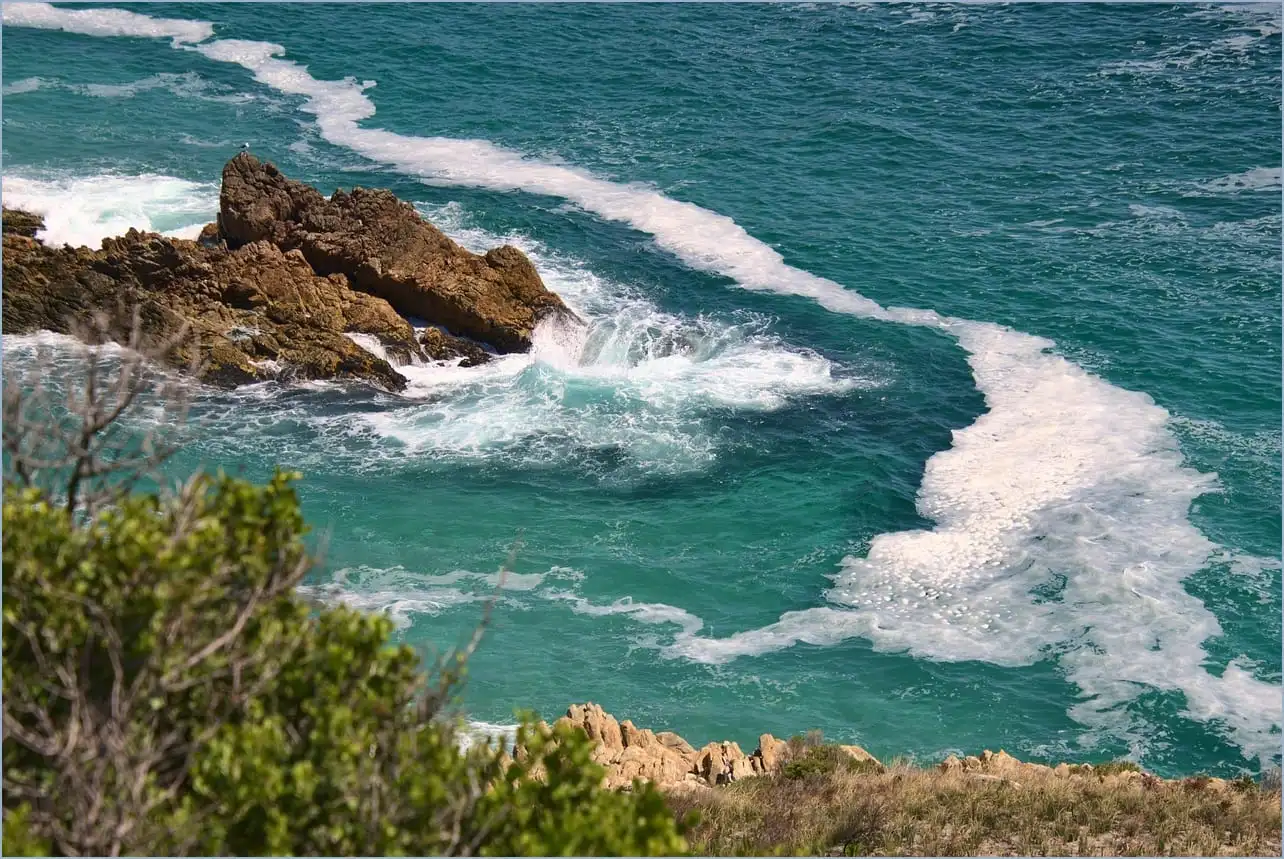 어도비 리더 다운로드