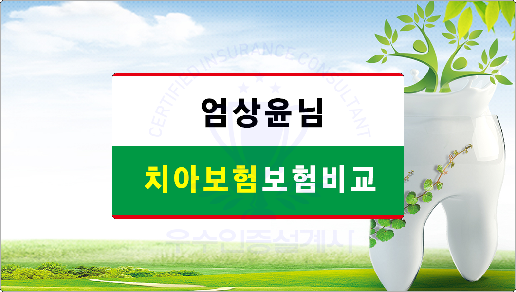 엄상윤님치아보험비교