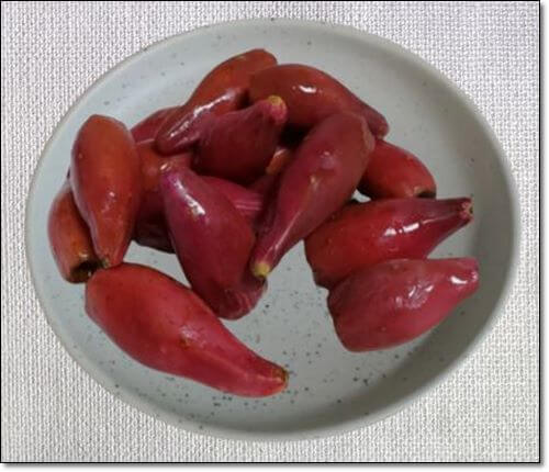 백년초열매