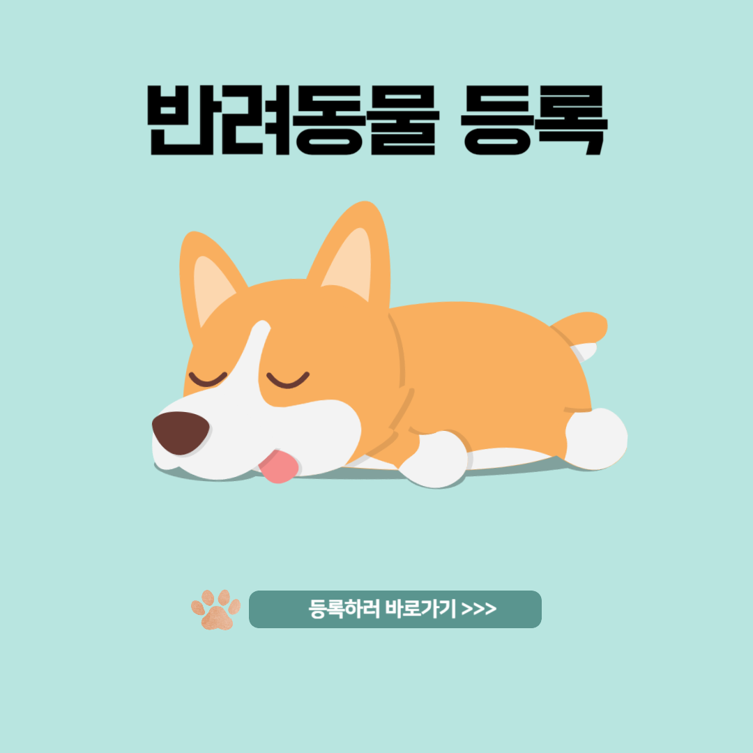 반려동물 등록 장소와 방법