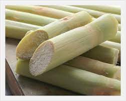 폴리코사놀 효능 부작용 (3주 섭취 후기)