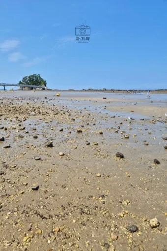 무창포 해수욕장 여행코스 바다 갈라짐 시간표 포함 정리_20