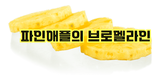 파인애플의 브로멜라인
