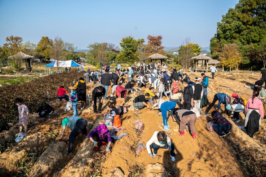 2024 증평 장뜰 들노래 축제 기본일정과 프로그램 정리