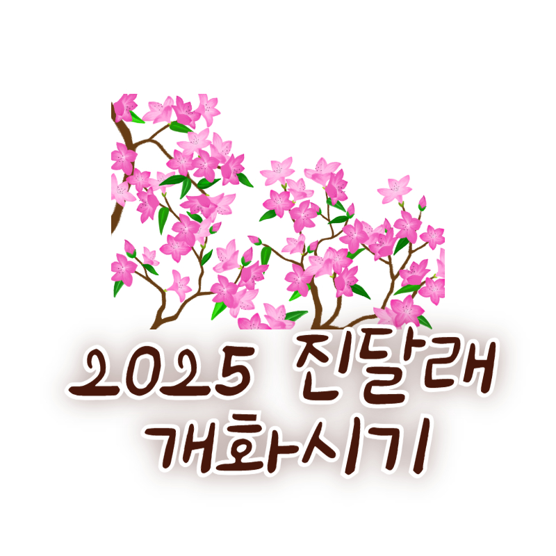 2025 진달래 개화시기