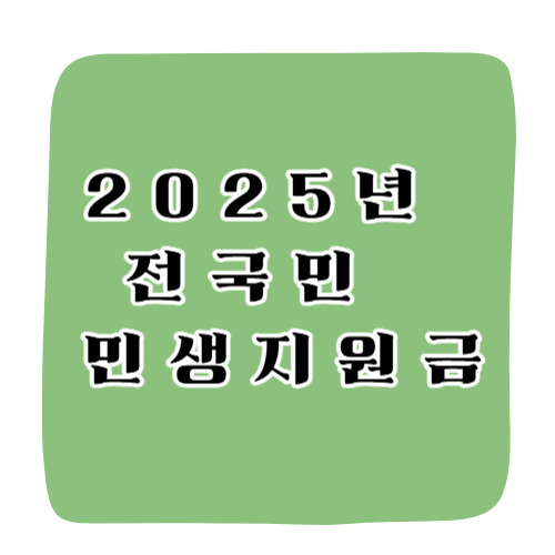 2025년 전국민 민생지원금