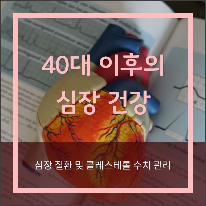40대 이후의 심장 관리